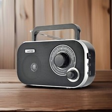 Portable Radio Mains or